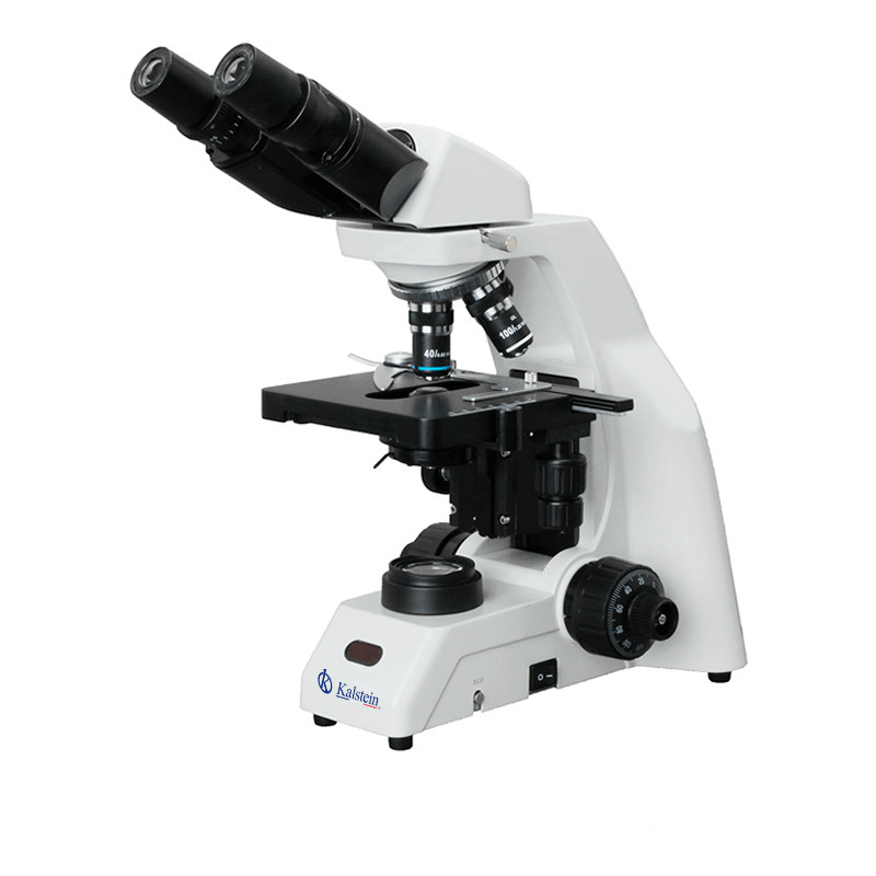 Microscope Binoculaire YR0239-1