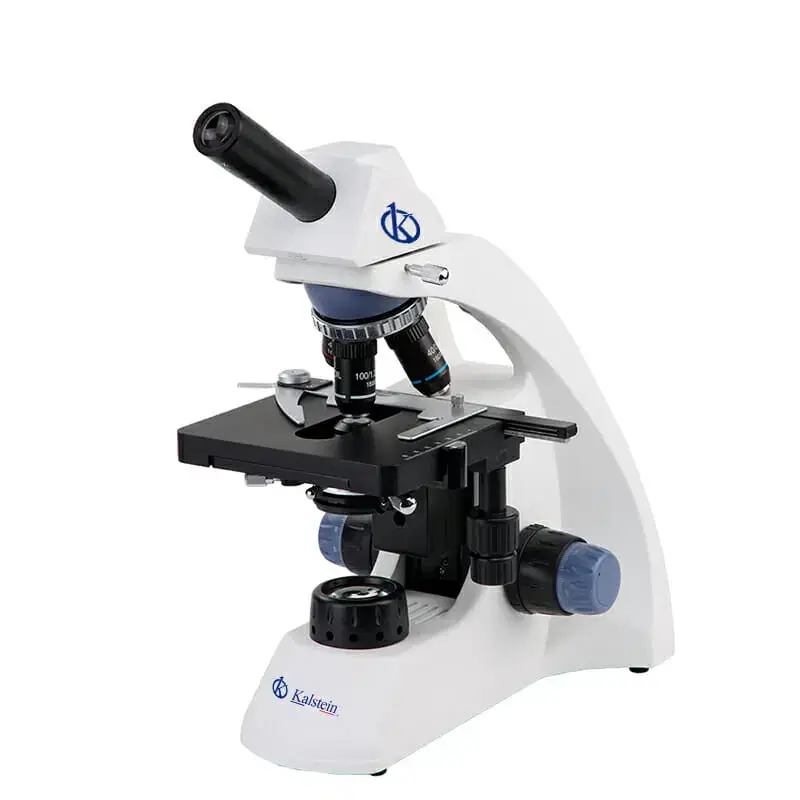 Microscope Binoculaire YR0242-B