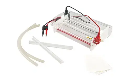 Électrophorèse Horizontale Sur Membrane YR03423