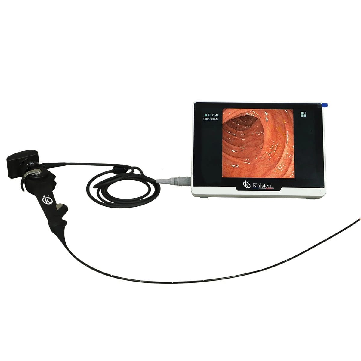 Endoscope Vidéo Vétérinaire Portable YR06155