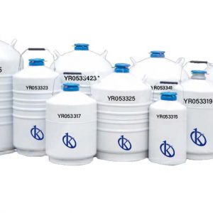 Qu'est-ce qu'un conteneur d'azote liquide?