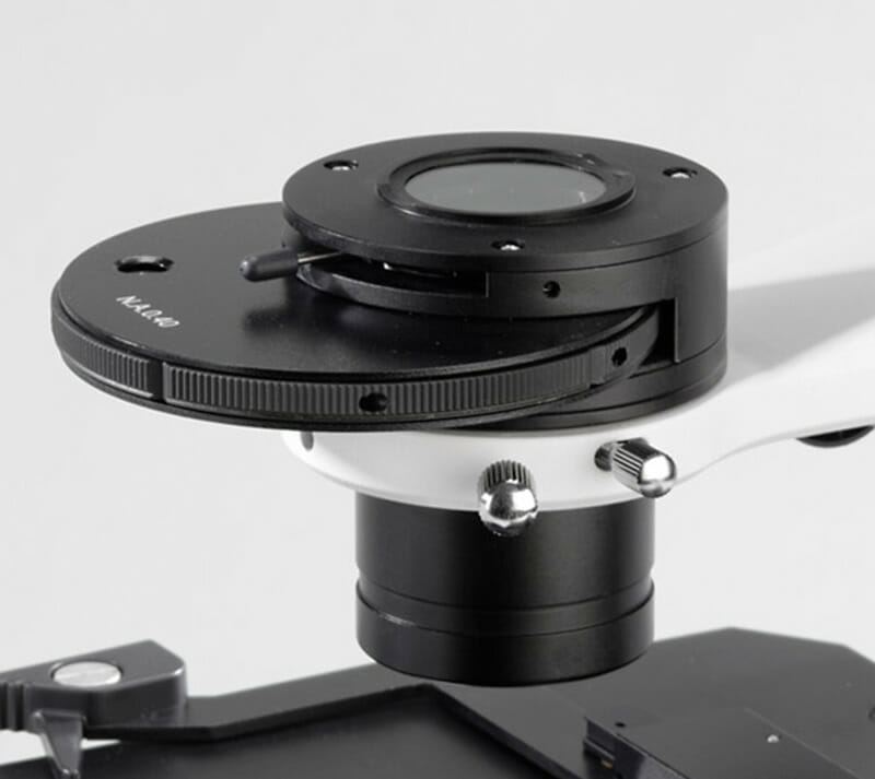 Microscopes Inversés à LED Fluorescente : Kalstein YR05791 – YR05792 vs Leica DMi8
