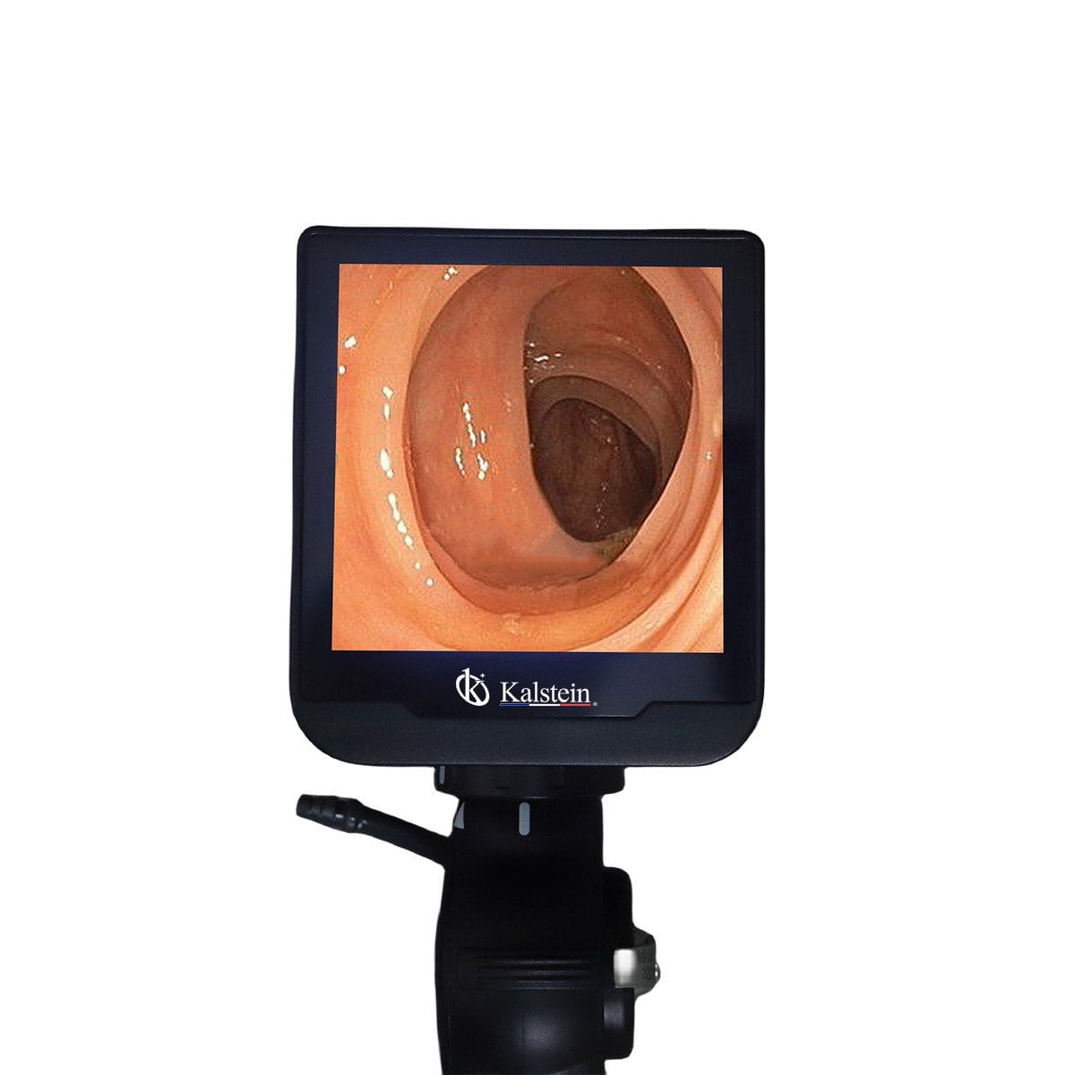 Vidéo Endoscope Vétérinaire Portatif YR06151//YR06155 – 1