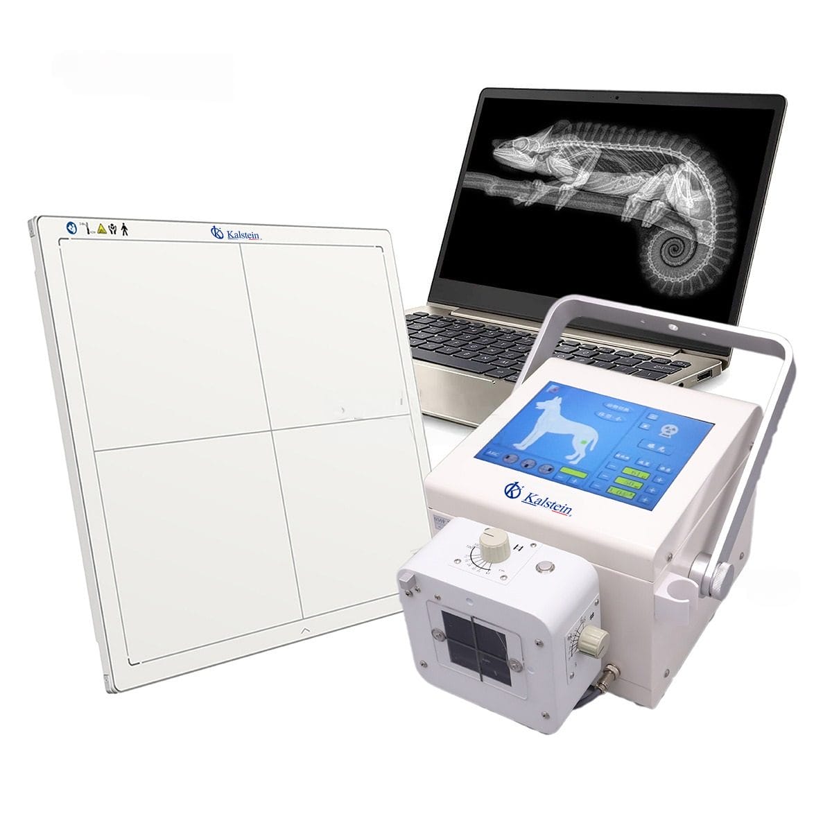 Rayon X Numérique Vétérinaire Portable (DR) YR06160