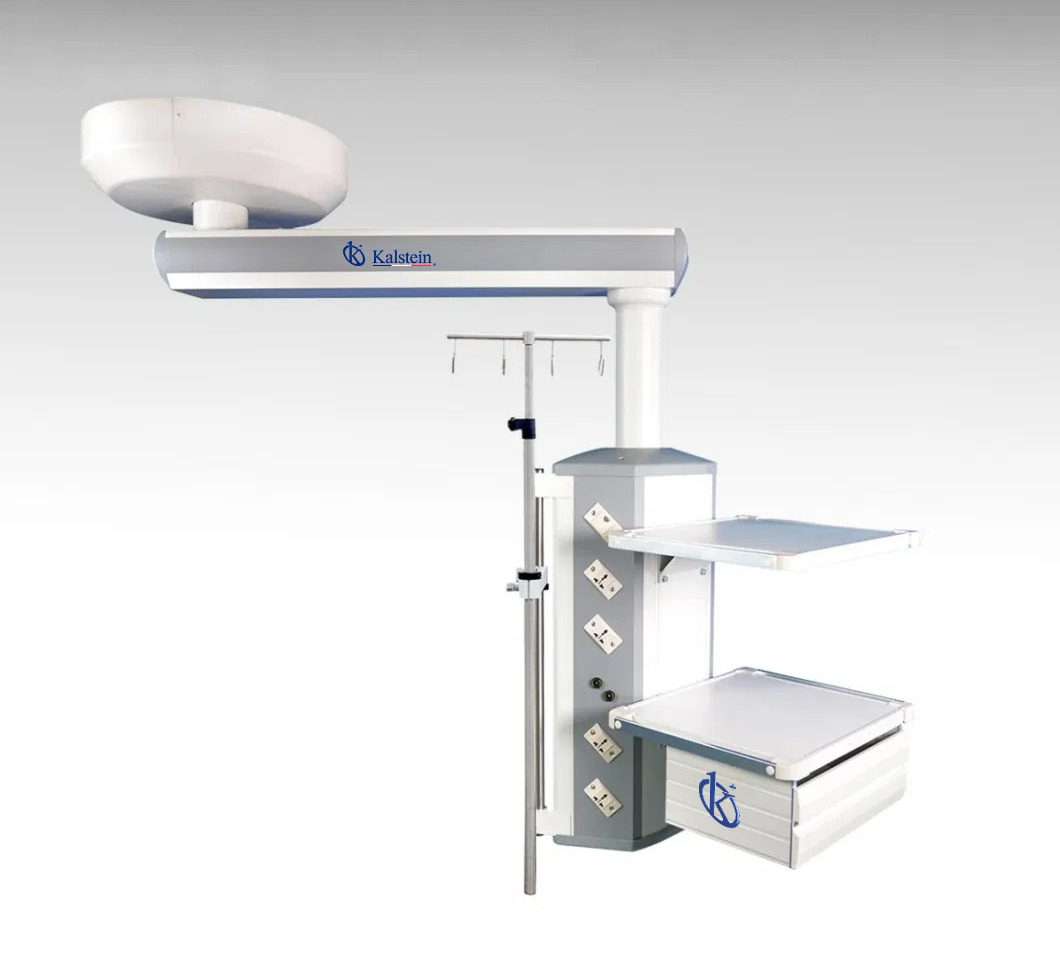 Éclairez vos Soins vétérinaires avec les Lampes vétérinaires de Kalstein