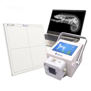Maître le Diagnostic Animal avec l'Équipement Mobile de Radiographie Numérique (DR) en Médecine vétérinaire