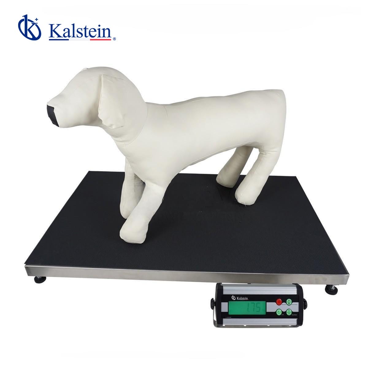 Balance pour Animaux de Compagnie YR06191 – 2