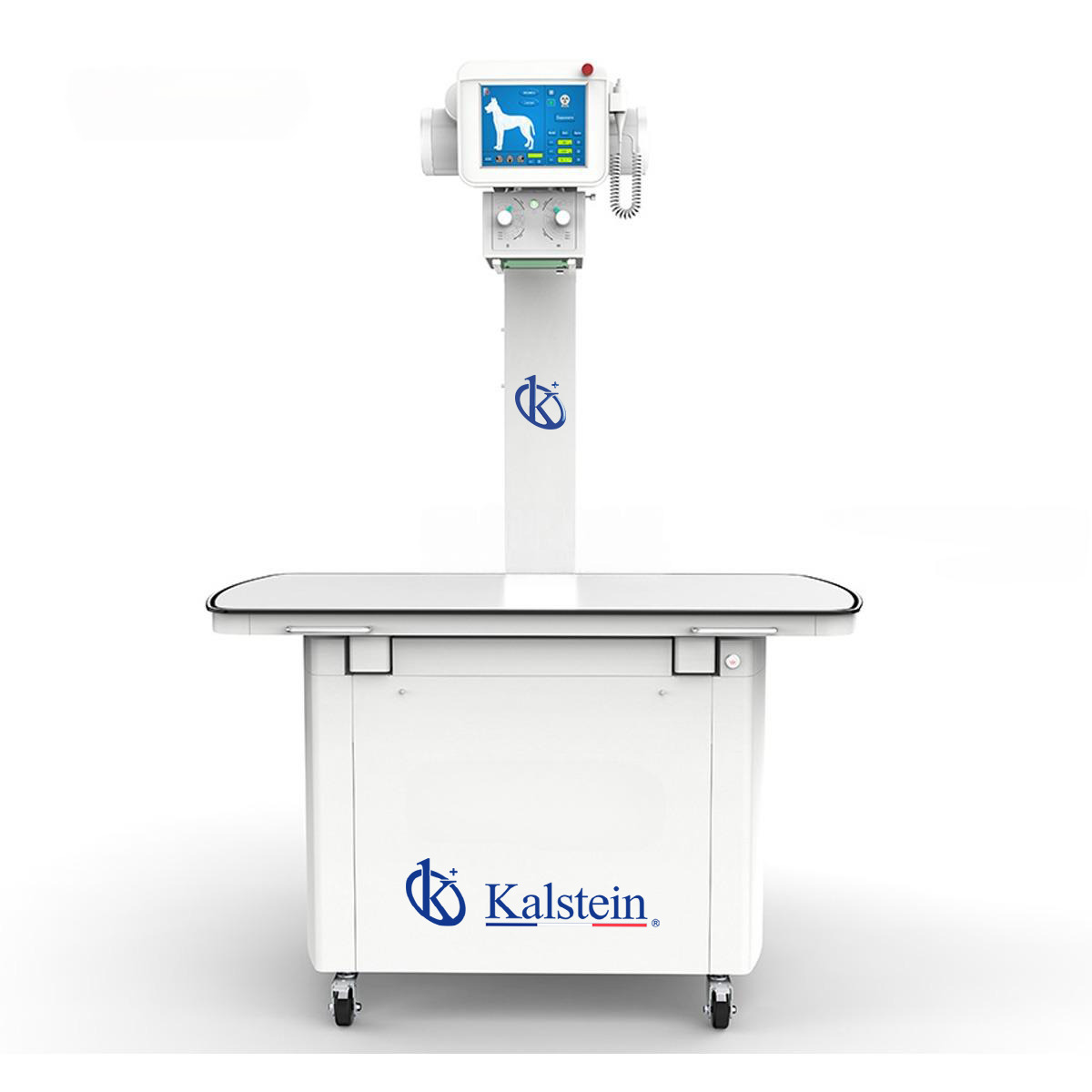 Les Rayons X Vétérinaires : Technologie de Pointe pour les Soins Animaux
