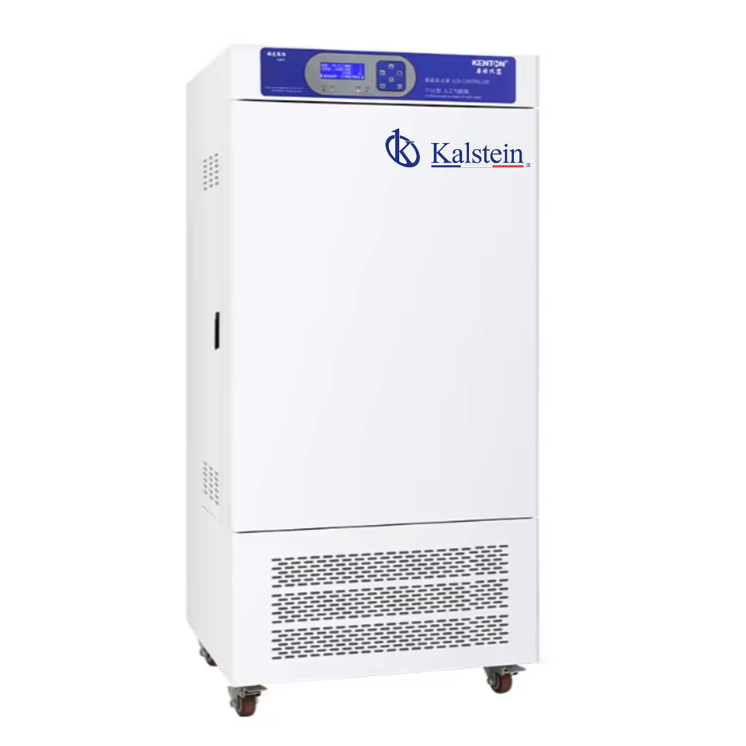 Incubateur à chambre climatique biologique YR06676 – 1